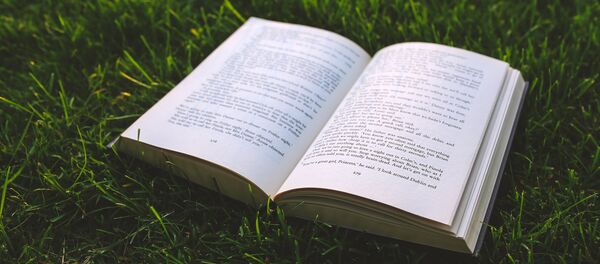 Книга Книга - Sputnik Абхазия