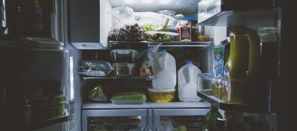 Холодильник Холодильник - Sputnik Абхазия