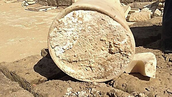 Сыр, найденный в гробнице мэра Мемфиса в Саккаре - Sputnik Абхазия