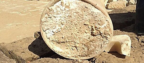 Сыр, найденный в гробнице мэра Мемфиса в Саккаре - Sputnik Абхазия