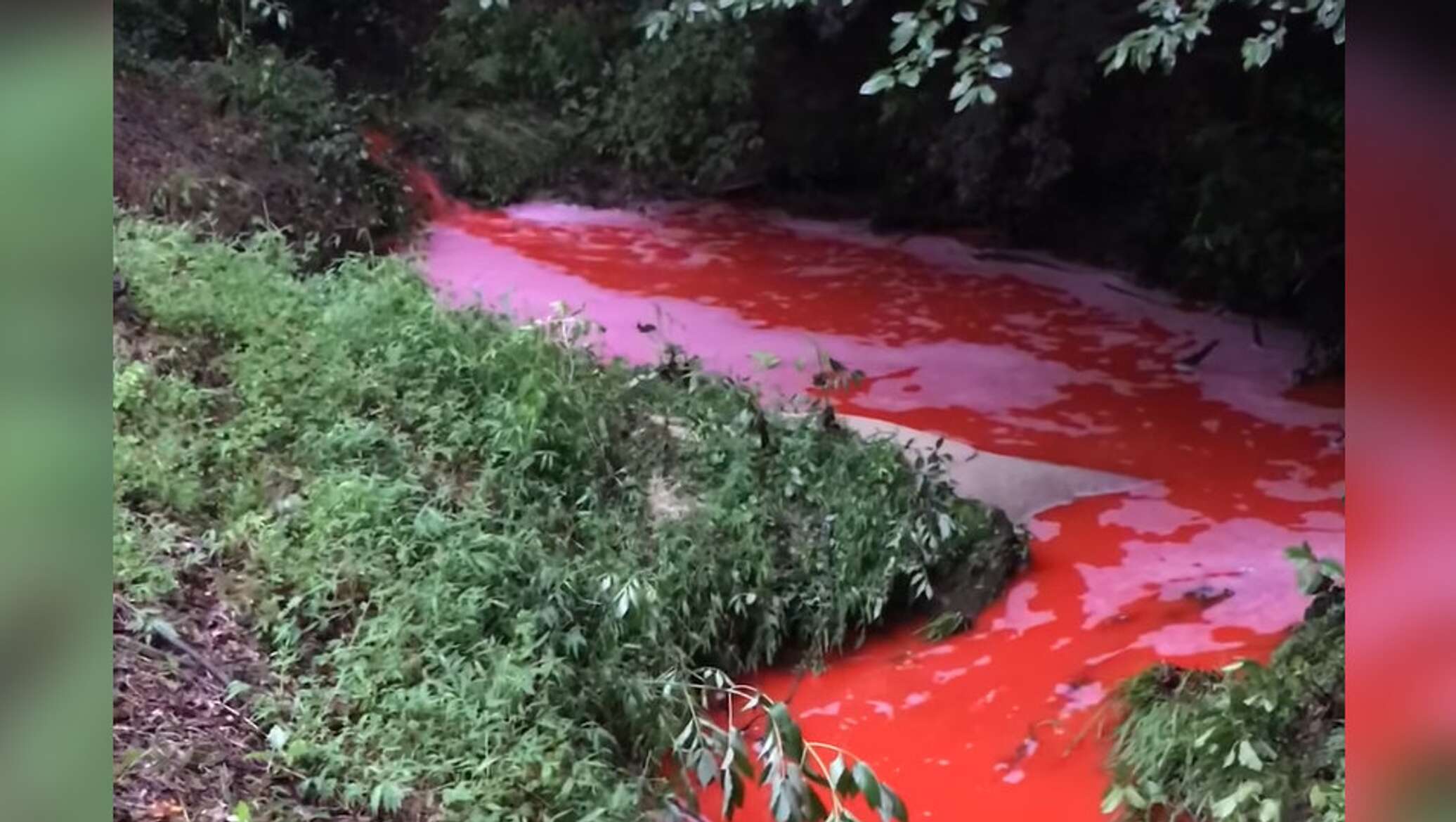 река красная все