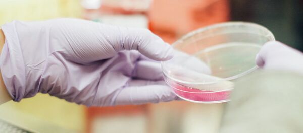 Лаборатория - Sputnik Абхазия