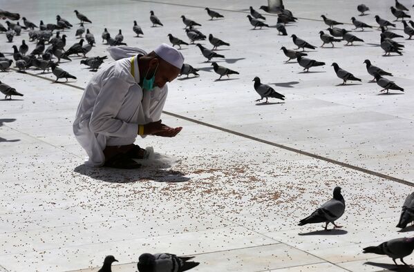 Мужчина кормит голубей у мечети аль-Харам в Мекке перед хаджем - Sputnik Абхазия