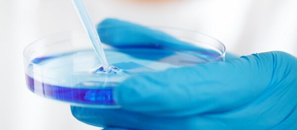 Лаборатория Лаборатория - Sputnik Абхазия