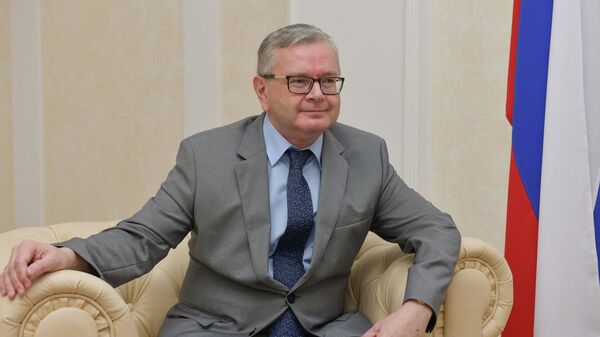 Чрезвычайный и Полномочный посол РФ в Республике Абхазия Алексей Двинянин  - Sputnik Абхазия