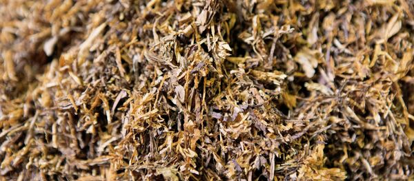 Табак Табак - Sputnik Абхазия