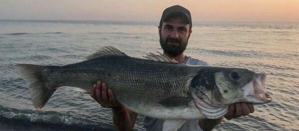 Сибас выловленный в окрестностях Адзюбжы - Sputnik Абхазия