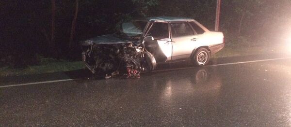 Фото с места ДТП, в результате которого погиб премьер-министр Абхазии Геннадий Гагулия Фото с места ДТП, в результате которого погиб премьер-министр Абхазии Геннадий Гагулия - Sputnik Абхазия