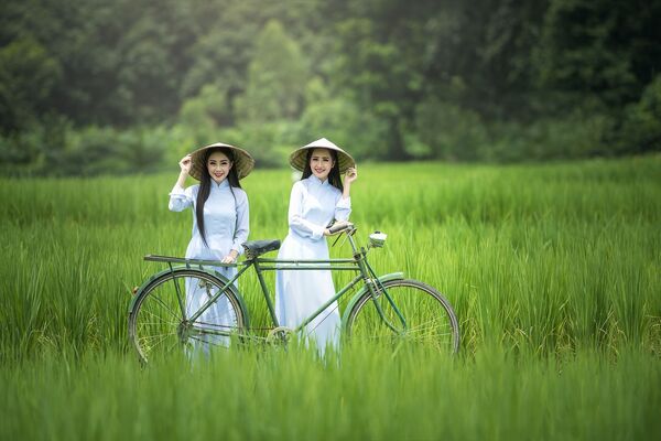 Вьетнамские девушки на зеленом поле у велосипеда - Sputnik Абхазия