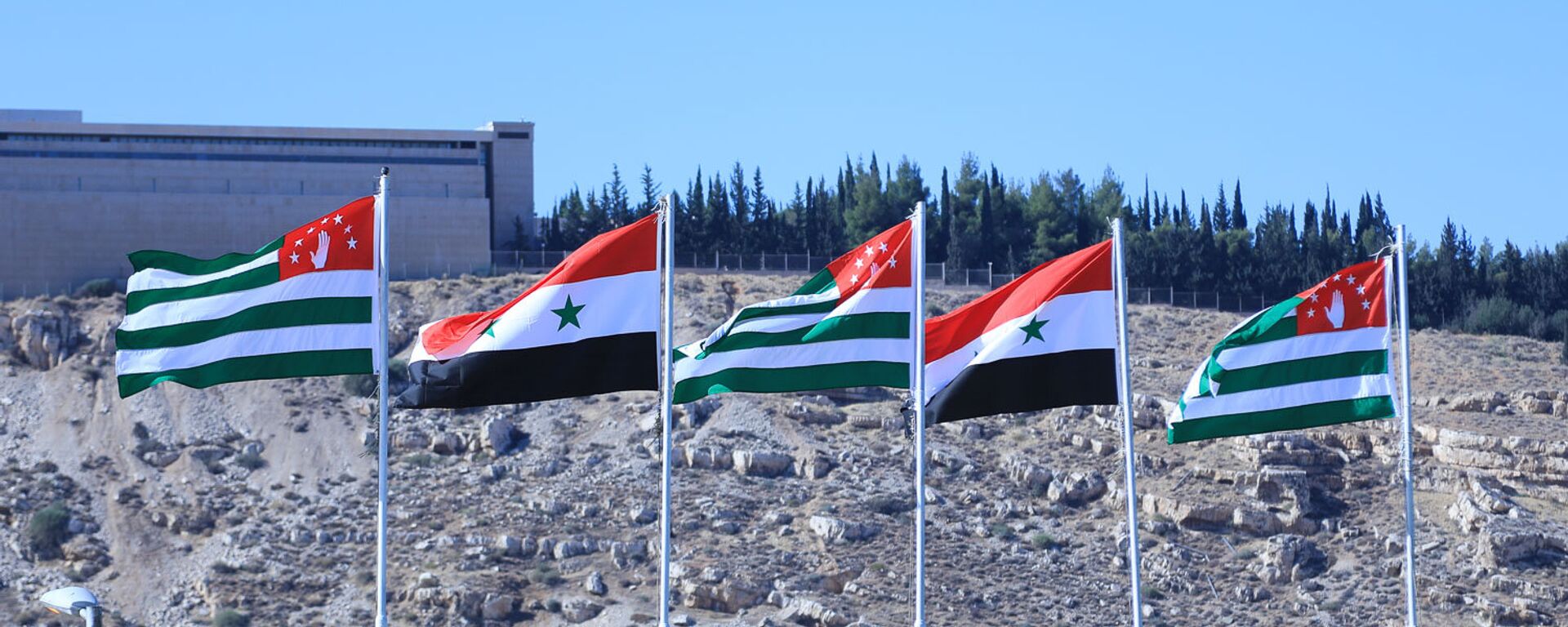 Флаги Сирии и Абхазии - Sputnik Абхазия, 1920, 06.10.2020