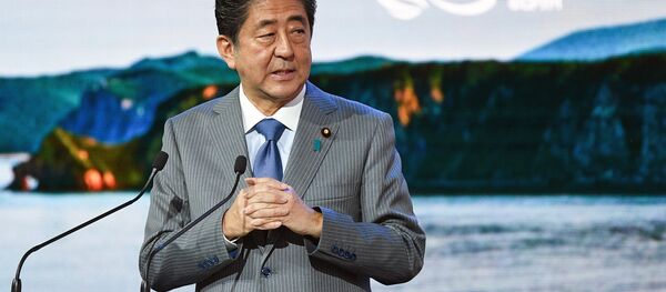 IV Восточный экономический форум. День второй IV Восточный экономический форум. День второй - Sputnik Абхазия