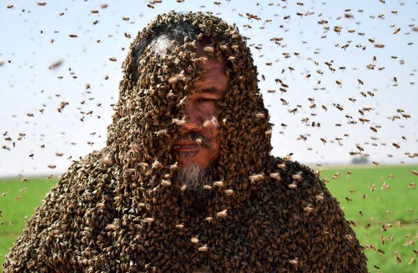 Человек, полностью покрытый пчелами, Саудовская Аравия - Sputnik Абхазия