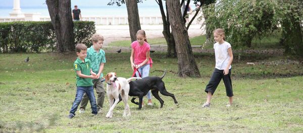 Конкурс собак Конкурс собак - Sputnik Аҧсны