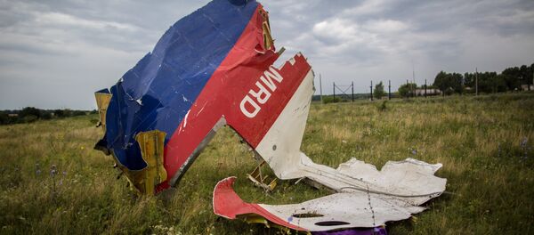 Поисковые работы на месте крушения малайзийского лайнера Boeing 777 в районе Шахтерска - Sputnik Абхазия
