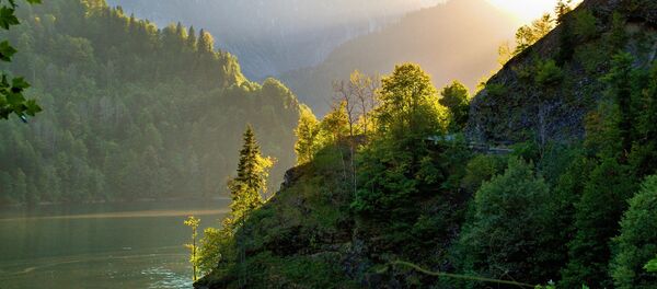 Озеро Рица - Sputnik Абхазия