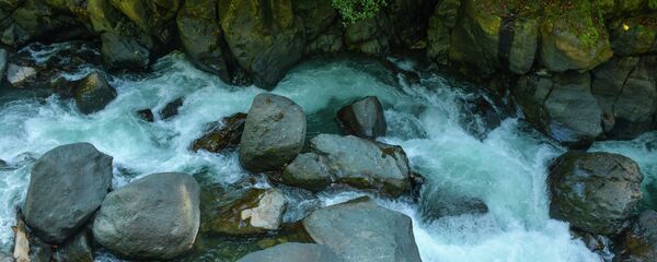 Аӡиасқәа Аӡиасқәа - Sputnik Аҧсны