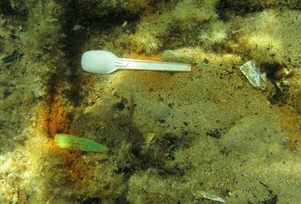 Пластиковая ложка на дне моря у берегов острова Родос - Sputnik Абхазия