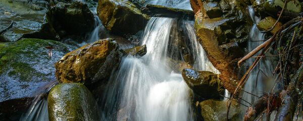 ашьха ӡиас ашьха ӡиас - Sputnik Аҧсны