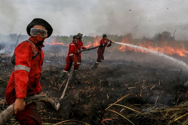 Пожарные тушат огонь на поле в округе Оган-Илир в Южной Суматре, Индонезия - Sputnik Абхазия