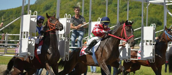 Международный турнир по конному спорту в Бзыпте Международный турнир по конному спорту в Бзыпте - Sputnik Абхазия