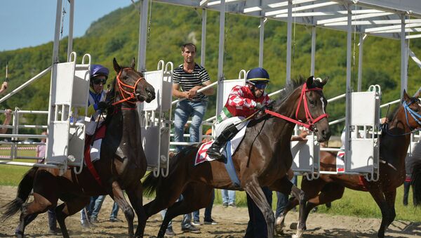 Международный турнир по конному спорту в Бзыпте - Sputnik Абхазия