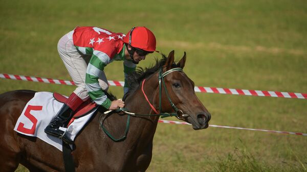 Международный турнир по конному спорту в Бзыпте  - Sputnik Аҧсны