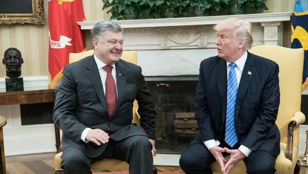 Президент США Дональд Трамп во время встречи с президентом Украины Петром Порошенко - Sputnik Абхазия
