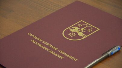 Совместное заседание Комитета Государственной Думы по делам СНГ, евразийской интеграции и связям с соотечественниками с комитетом Народного Собрания по международным делам, межпарламентским связям и связям с соотечественниками в парламенте Абхазии
