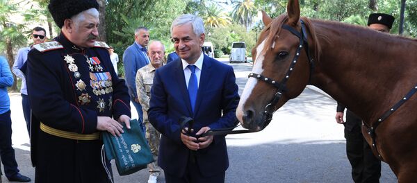 Глава Союза казаков Донской области Николай Козицын в честь 25-летия Дня Победы и Независимости Республики Абхазия подарил Президенту Абхазии Раулю Хаджимба Донского жеребца Глава Союза казаков Донской области Николай Козицын в честь 25-летия Дня Победы и Независимости Республики Абхазия подарил Президенту Абхазии Раулю Хаджимба Донского жеребца - Sputnik Абхазия