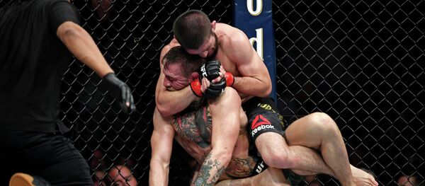 Хабиб Нурмагомедов и Конор Макгрегор во время боя - Sputnik Абхазия