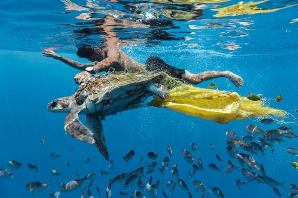 Снимок Save turtle ланкийского фотографа Jing Li, победивший в номинации Highly Commended конкурса Environmental Photographer of the Year 2018 - Sputnik Абхазия