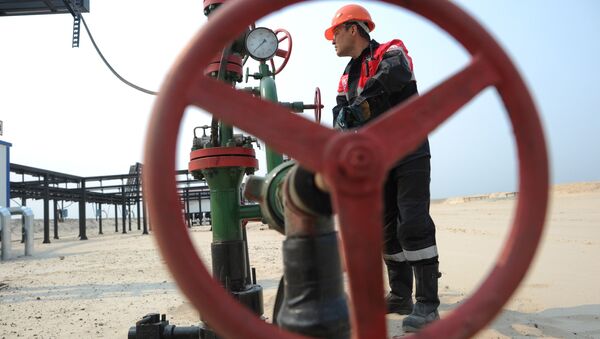 Оператор по добыче нефти компании Лукойл на нефтяном кусте в районе города Когалым. - Sputnik Абхазия