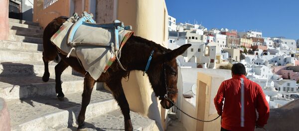 Страны мира. Греция - Sputnik Абхазия