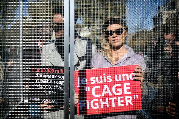 Американская актриса Памела Андерсон и ее партнер по танцам Максим Дереймез стоят в клетке во время акции в защиту животных в Париже - Sputnik Абхазия