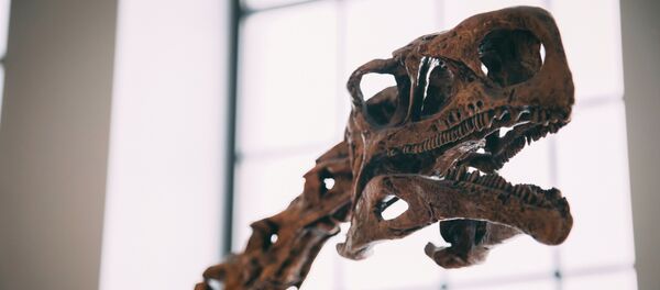 Музей - Sputnik Абхазия