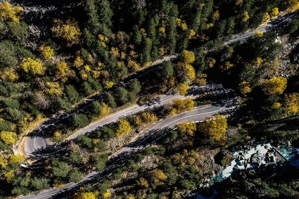 Дорога в Тебердинском государственном природном биосферном заповеднике в Карачаево-Черкесской Республике - Sputnik Абхазия