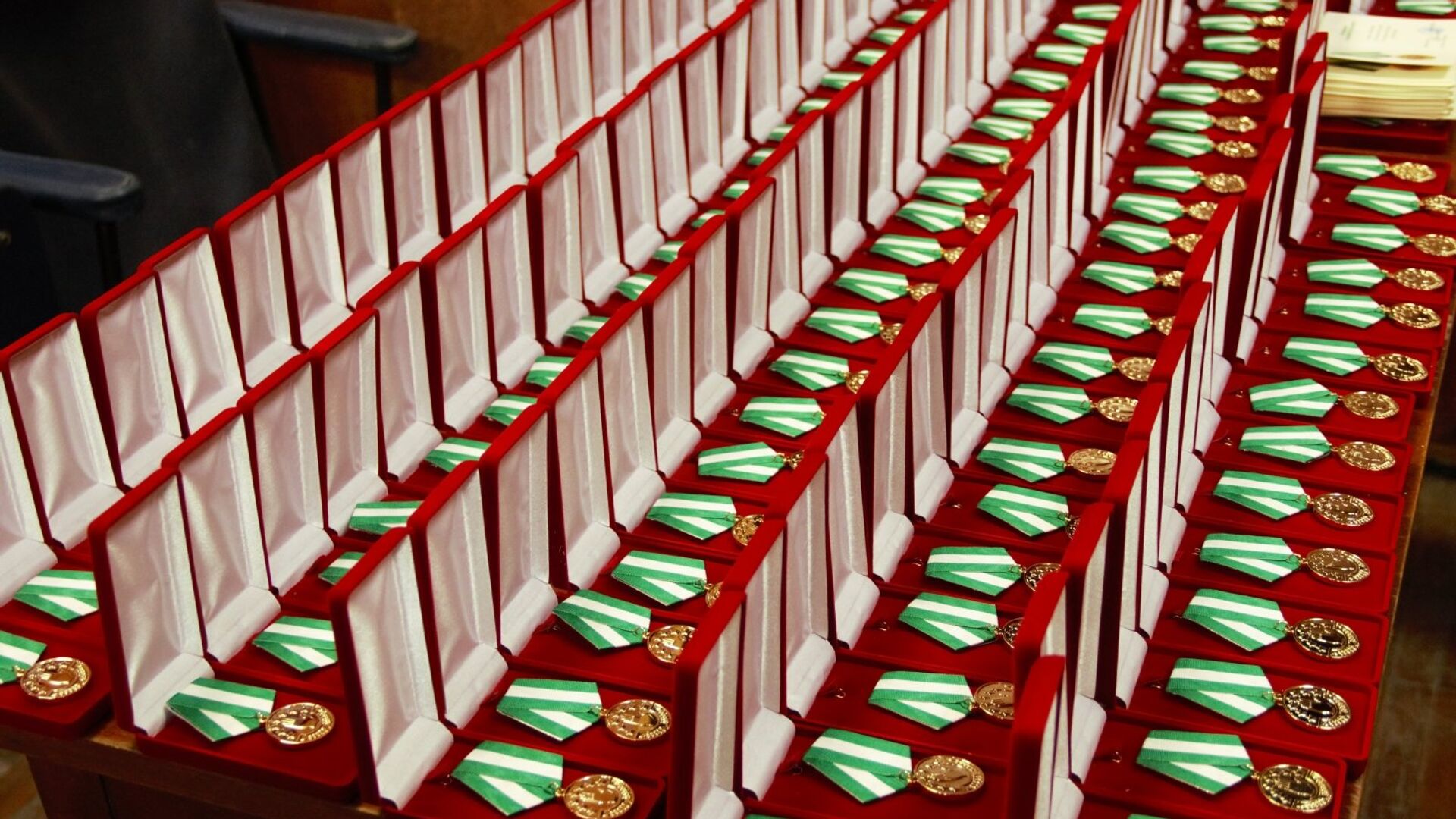 Президент Республики Абхазия Рауль Хаджимба вручил медали За победу бойцам Пицундского батальона - Sputnik Аҧсны, 1920, 14.12.2022