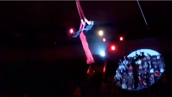 Падение в цирке во время фестиваля-конкурс Под сводом старого шатра - Sputnik Абхазия