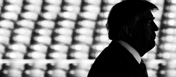 Президент США Дональд Трамп. Президент США Дональд Трамп. - Sputnik Абхазия