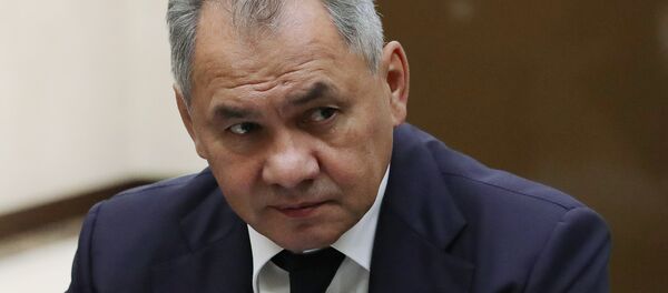 Министр обороны РФ Сергей Шойгу Министр обороны РФ Сергей Шойгу - Sputnik Аҧсны