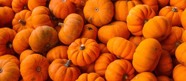 Тыква - Sputnik Абхазия