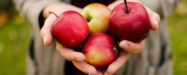 Яблоки - Sputnik Аҧсны