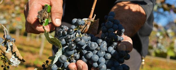 ажь ажь - Sputnik Аҧсны