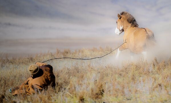Монгольский пастух с конем - Sputnik Абхазия