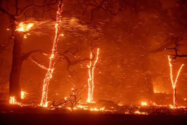 Лесные пожары в окрестностях калифорнийского города Парадайс - Sputnik Абхазия