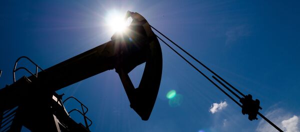 Нефтяной станок-качалка в Северском районе Краснодарского края. Нефтяной станок-качалка в Северском районе Краснодарского края. - Sputnik Абхазия