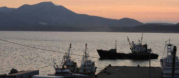 Остров Кунашир - Sputnik Абхазия