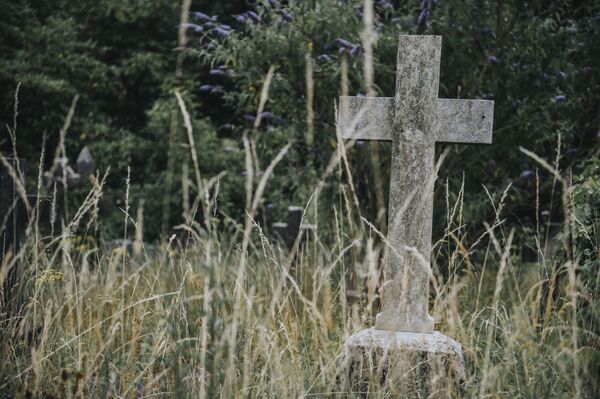 Их время ушло: вымирающие воровские профессии Их время ушло: вымирающие воровские профессии - Sputnik Абхазия