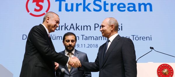 Рабочий визит президента РФ В. Путина в Турцию - Sputnik Абхазия