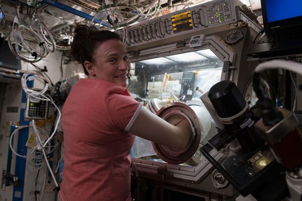 Астронавт НАСА Серина Мария Ауньон-Чанселлор во время эксперимента на борту МКС  - Sputnik Абхазия